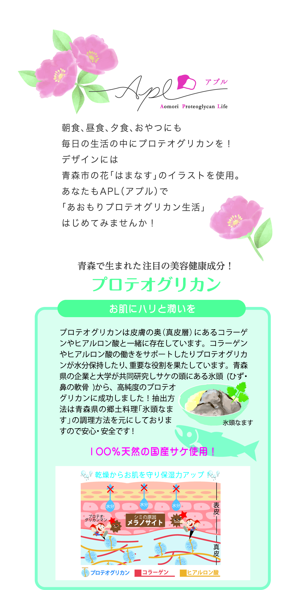 プロテオグリカン